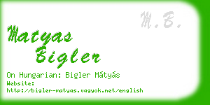 matyas bigler business card